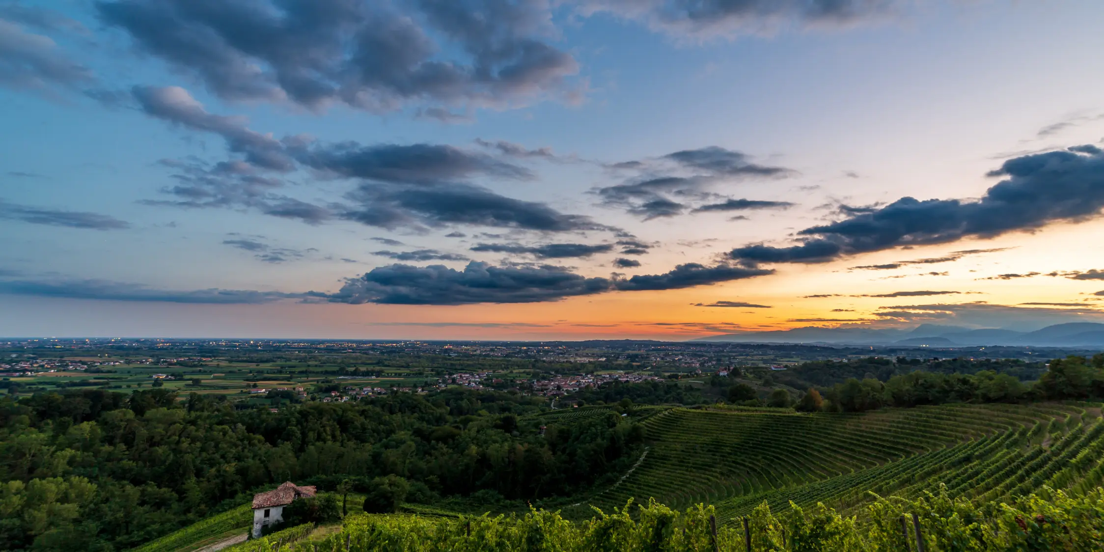 Una vista panoramica di un paesaggio verdeggiante e lussureggiante con dolci colline e vigneti al tramonto. Il cielo è un vivace mix di arancione e blu con nuvole sparse. Una piccola casa è incastonata tra il verde nell'angolo in basso a sinistra.