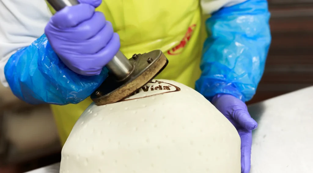 Persona con guanti protettivi che preme un ferro da marchiatura su una grande forma rotonda di formaggio.